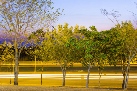 夜间图片与轻型小径的汽车在帕尔马斯市托坎廷斯巴西的道路上。 绿色的树木和天空，有强烈的蓝色薰衣草和紫色的色调。 2017