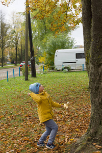 穿黄色夹克的男孩在秋天公园休息