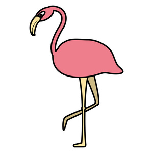 彩色热带雀斑美人鸟动物插图