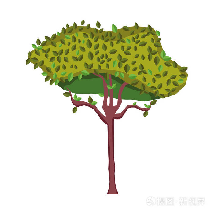 带有外来茎的自然树,植物矢量插图插画-正版商用图片2