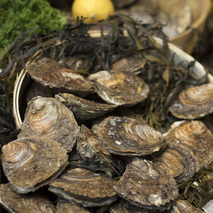在伦敦的市政市场上，冰面上有许多稀有的本地牡蛎和樱桃石蛤