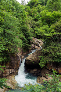 丛林中的瀑布流入一条山河