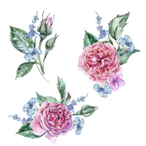 经典水彩画集，复古花卉元素，水彩花束，红玫瑰和野花，植物自然插图，孤立在白色背景上