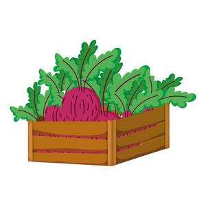 健康洋葱蔬菜内木篮插图