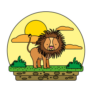 彩色可爱雄狮野生动物景观矢量插图