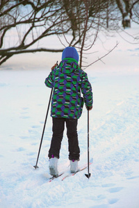 孩子们在公园的树上滑雪