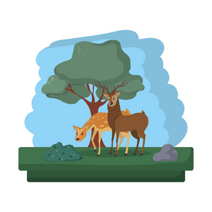 鹿夫妇野生动物保护区插图