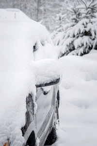 一辆车上满是雪