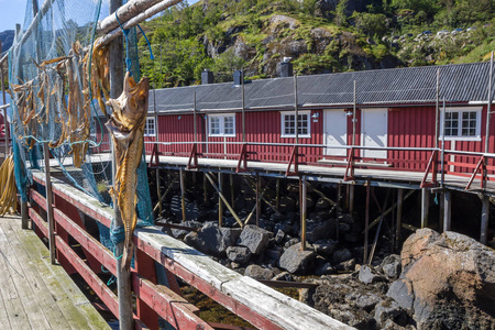 挪威洛夫顿岛Nusfjord的渔网和房屋
