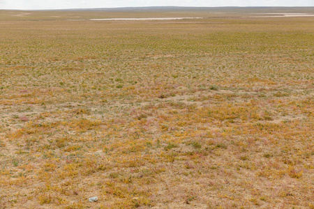 戈壁沙漠蒙古景观蒙古