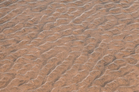 新西兰奥克兰北部岛屿附近贝特海滩泰亨加的沙和水图案