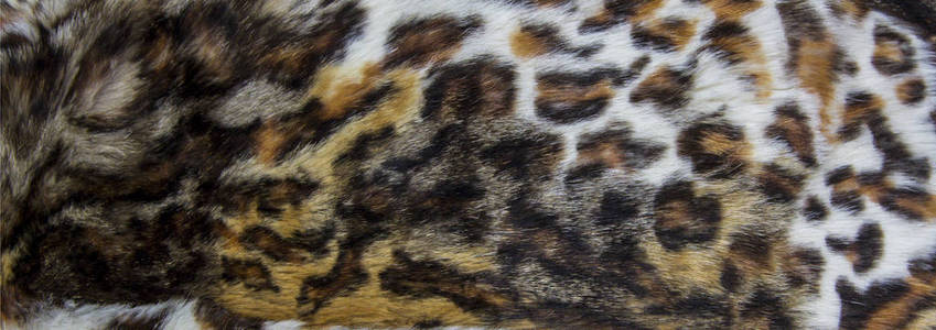 豹纹美洲豹皮毛，皮肤纹理染色，紧贴