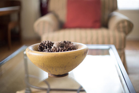 玻璃客厅咖啡桌上优雅的一碗松果