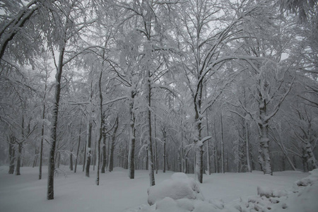冬季魔术景观雪山阿米塔托斯卡纳意大利