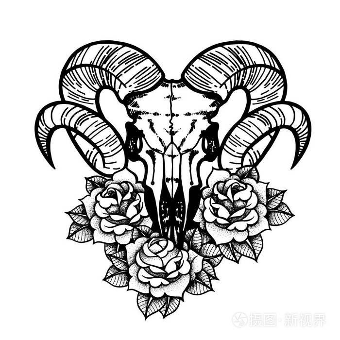 玫瑰纹身与羊的头骨.角