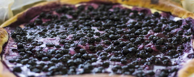 自制蓝莓派特写的浆果图片