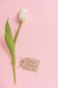 白色郁金香和木制标签与快乐母亲日问候文字粉红色背景