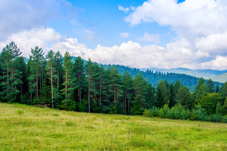 喀尔巴阡山美丽的绿色森林和山谷照片