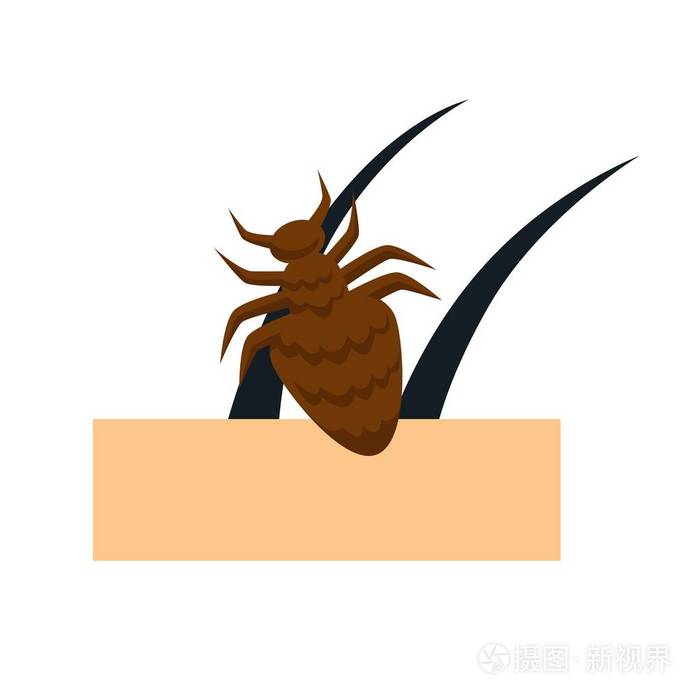 昆虫皮肤蜱虫或螨皮肤病或疾病病媒有害寄生虫或感染,护肤和医疗,体毛