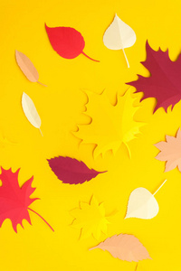 秋天的叶子在黄色的背景上从纸上剪下来。 秋季概念