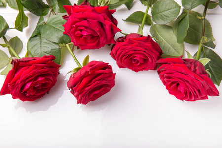 情人节假期组成, 装饰品。节日创作模式, 红玫瑰, 心和丝带在白色背景