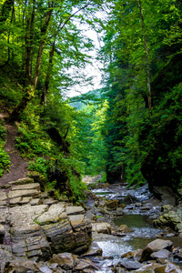 喀尔巴阡山青山绿水间的山水画卷