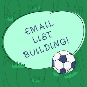 编写文本编写电子邮件列表生成。概念意思允许信息分析的分布互联网用户足球球在草和空白概述圆颜色形状相片