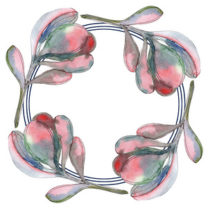 多汁的植物花卉。 水彩背景插图集。 框架边框装饰。