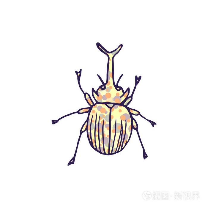 白底犀牛甲虫涂鸦素描插画-正版商用图片18e13g-摄图新视界
