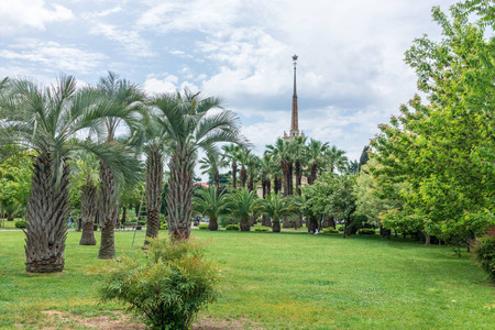 从最近的绿色公园看索契海洋站的尖顶，上面有棕榈树。