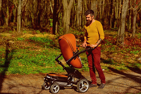 父亲带着婴儿车散步。父亲在秋季公园推婴儿推车。这是一个了不起的爸爸看起来像
