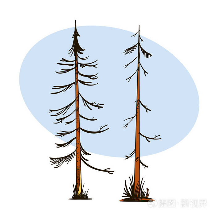 老枯杉树在手绘素描风格 游戏设计和动画的景观元素.