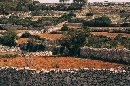 马耳他农村农业田景观