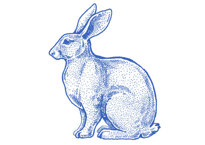 兔子, 兔子。复古风格的经典插图牛排屋, 菜单, 套餐
