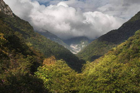 秋日森林覆盖的山脉