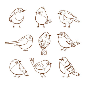 手绘可爱的小鸟在不同的姿势隔离在白色背景上。 矢量图。