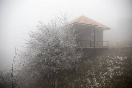 森林里神秘的房子里有雾和一棵树。 荒无人烟的土地上的老鬼屋。 冬季景观