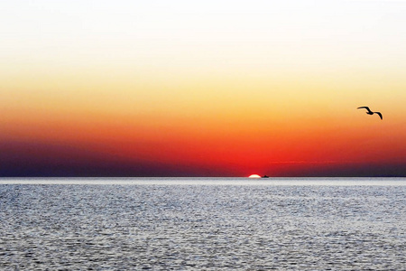 海上海鸥船上的日落