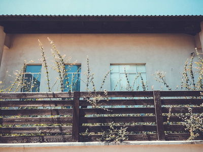 以色列里顺勒锡安的私人住宅木栅栏和植物
