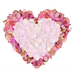 s Day, love, valentine, watercolor, hydrangea, spring, heart, fl