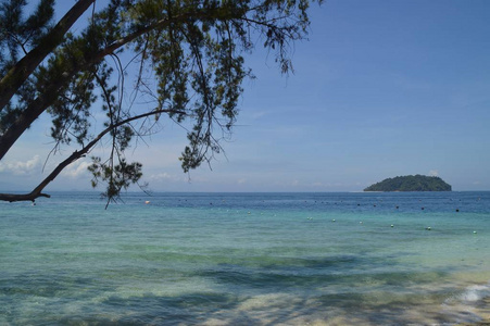 海滩上的风景