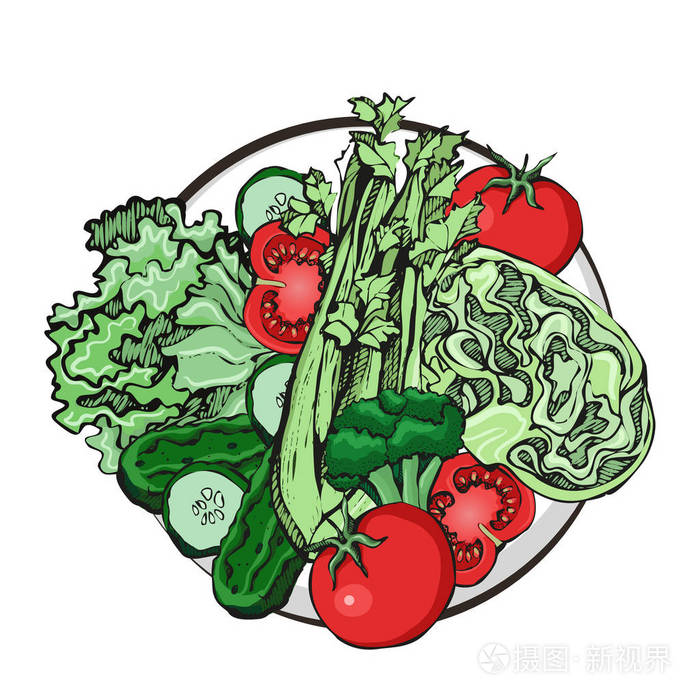 盘子里的矢量蔬菜素描.概念健康食品
