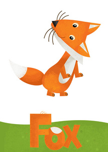 白色背景上带有狐狸卡的卡通场景，儿童用动物插图命名