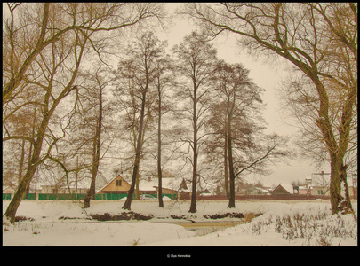 大自然的树木外面的村庄户外冬天的雪冷