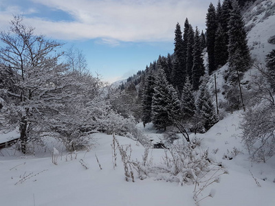 山林冬季景观，积雪清新。