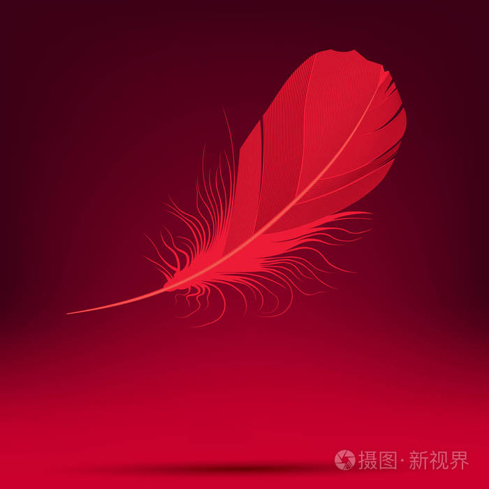 红色背景上的羽毛插图