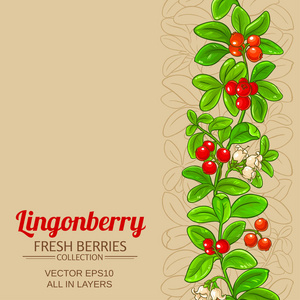 彩色背景上的Lingonberry矢量图案