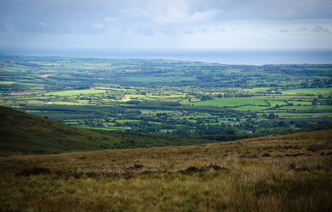 爱尔兰美丽的草地和景观