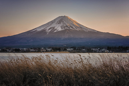 日本高谷子富士山