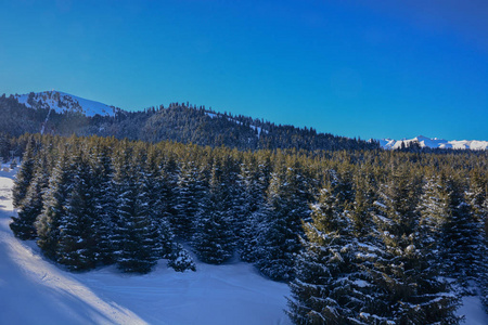 美丽的冬季景观与雪林和干净的天空在卡拉科尔吉尔吉斯斯坦。